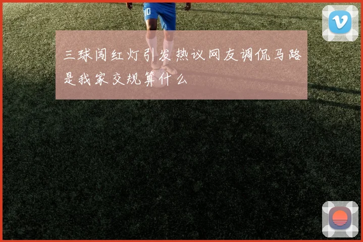 三球闯红灯引发热议网友调侃马路是我家交规算什么