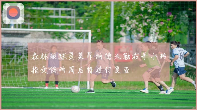 森林狼球员莱昂纳德米勒右手小拇指受伤两周后将进行复查