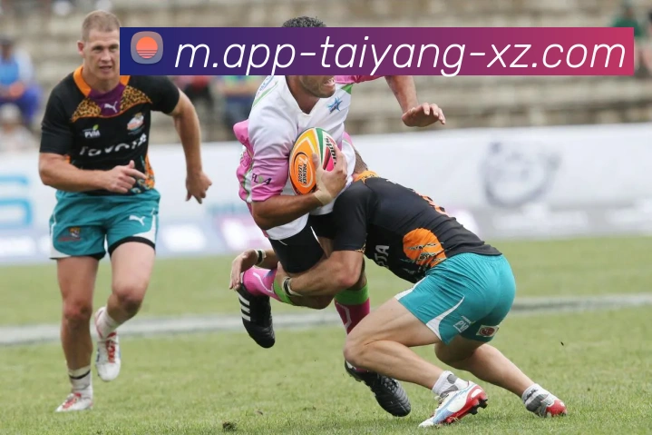 太阳城平台生态图